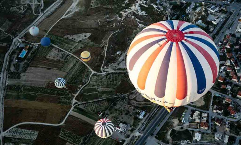 Unutulmuş Bir Hazine Fontainebleau