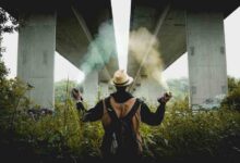 Bir kırlangıçla bahar gelmez